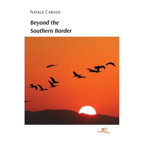 Beyond the Southern Border