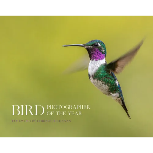 Bird Photographer of the Year