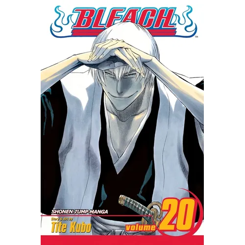Bleach, Vol. 20