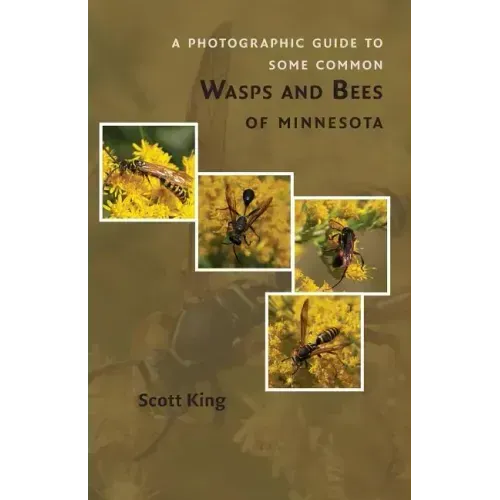 A Photographic Guide to Some Common Wasps and Bees of Minnesota
