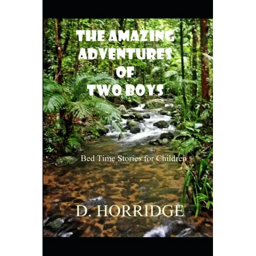 The Amazing Adventures of Two Boys: Bed Time Stories for Children