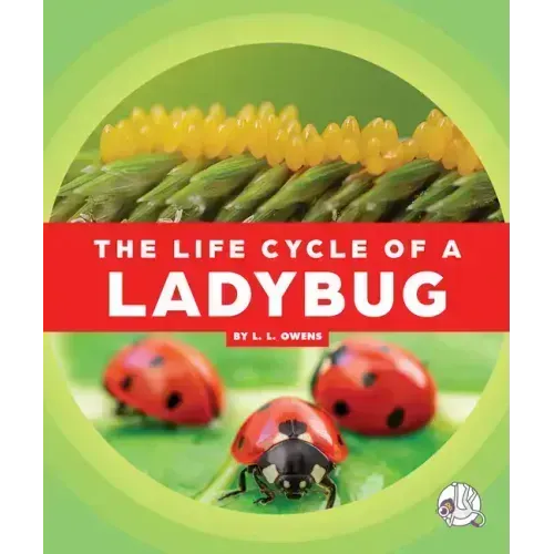 The Life Cycle of a Ladybug