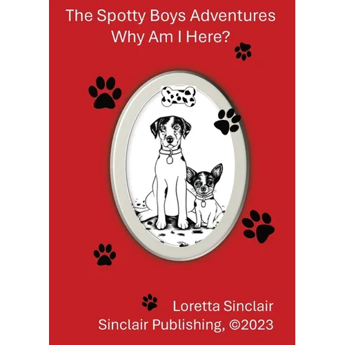 The Spotty Boys Adventures: Why Am I Here?