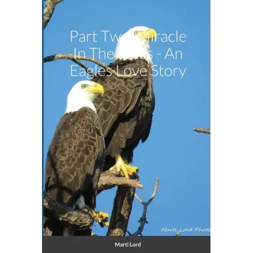 Part Two: Miracle In The Pines - An Eagles Love Story