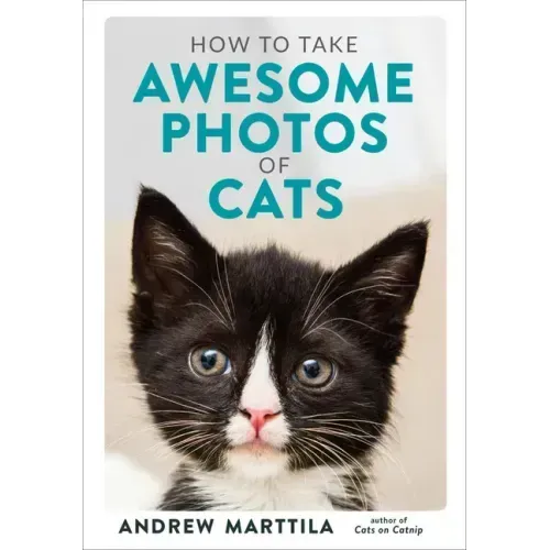 How to Take Awesome Photos of Cats