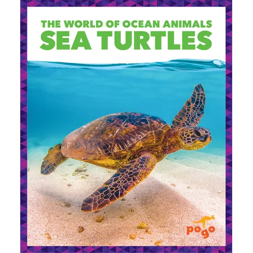 Sea Turtles