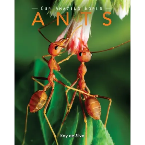 Ants: Amazing Pictures & Fun Facts on Animals in Nature