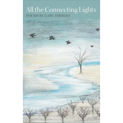 All the Connecting Lights
