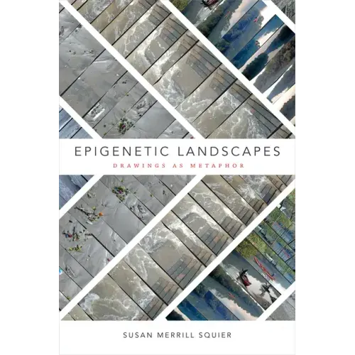 Epigenetic Landscapes: Drawings as Metaphor
