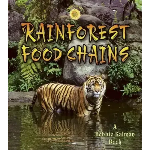 Rainforest Food Chains