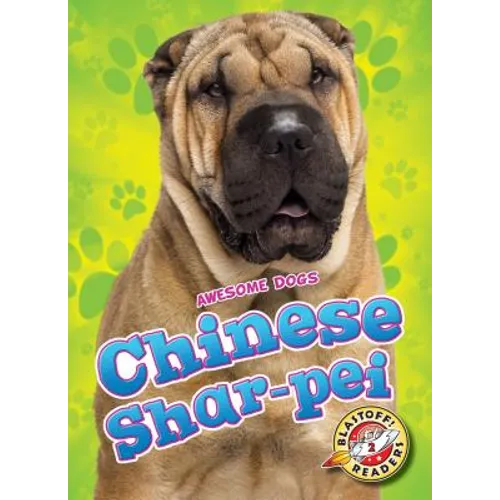 Chinese Shar-Pei