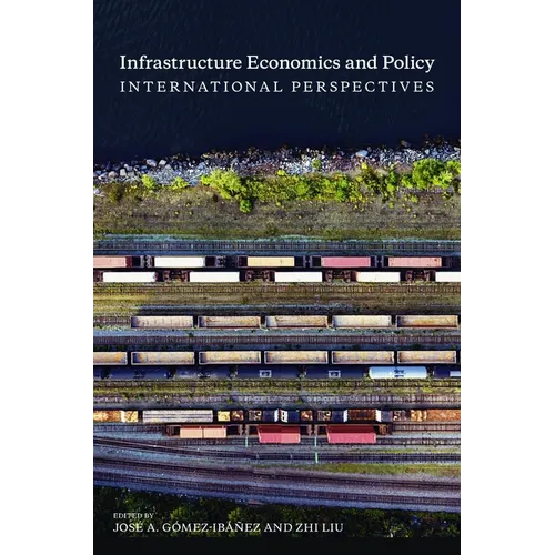 Infrastructure Economics and Policy: International Perspectives