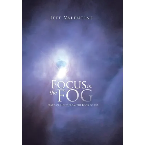 Focus in the Fog: Beams of Light from the Book of Job
