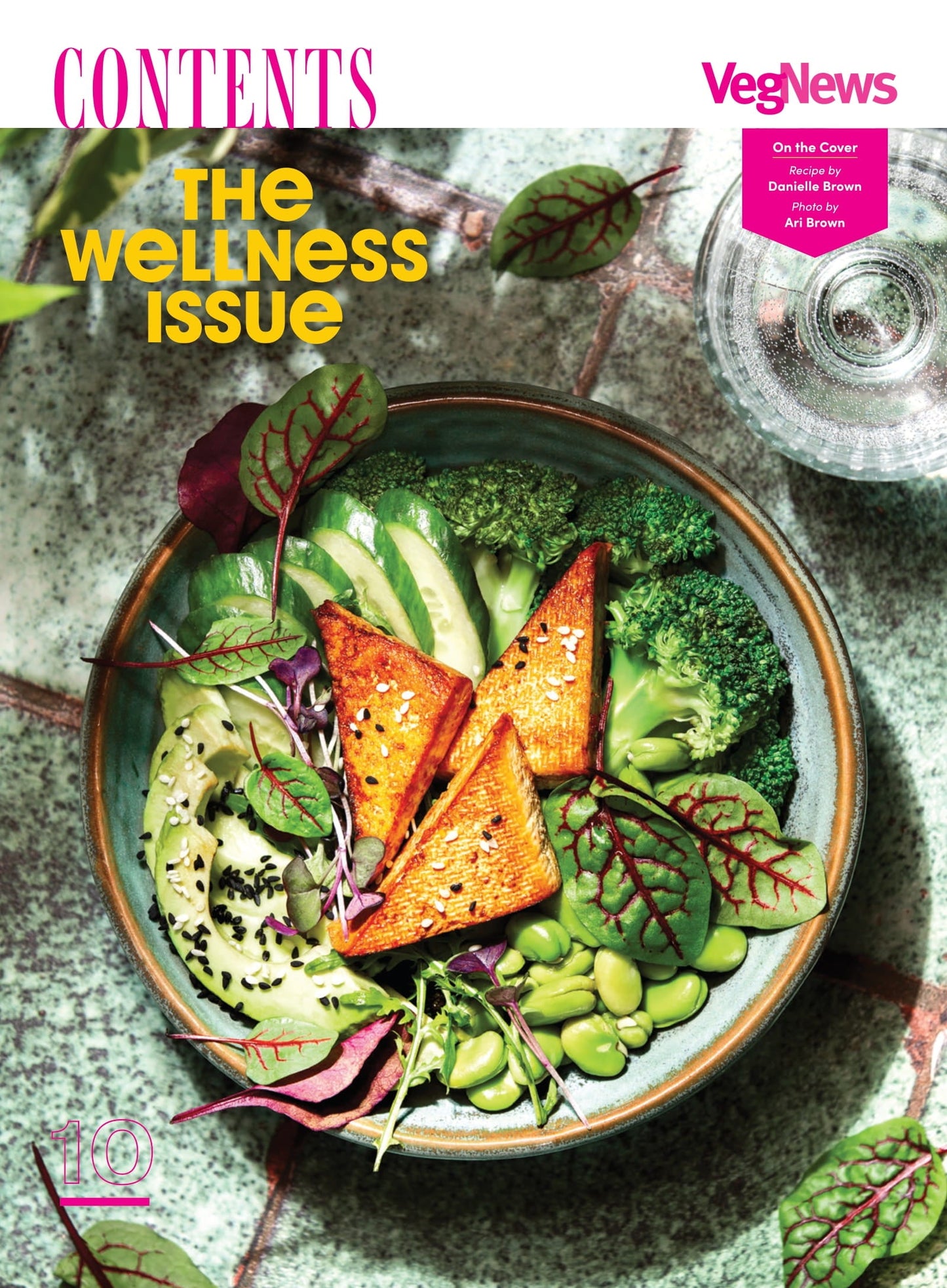 VegNews - 2026 Wellness Issue: Ways To Eat More Plants, Fresh & Healthy Recipes, Longevity Hacks, Best High-Protein Plant Foods, Elaine Hendrix Interview, Snack Awards, Blue Zones Lessons & More!