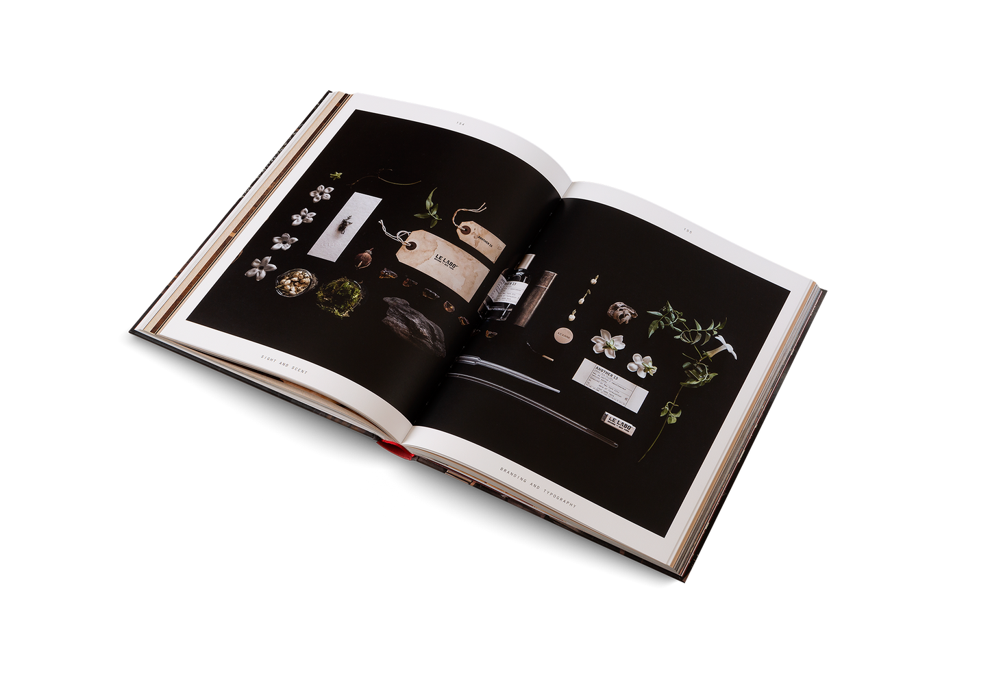 Venture Onward Book