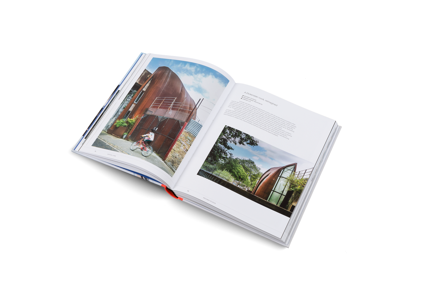 Vertical Living Book