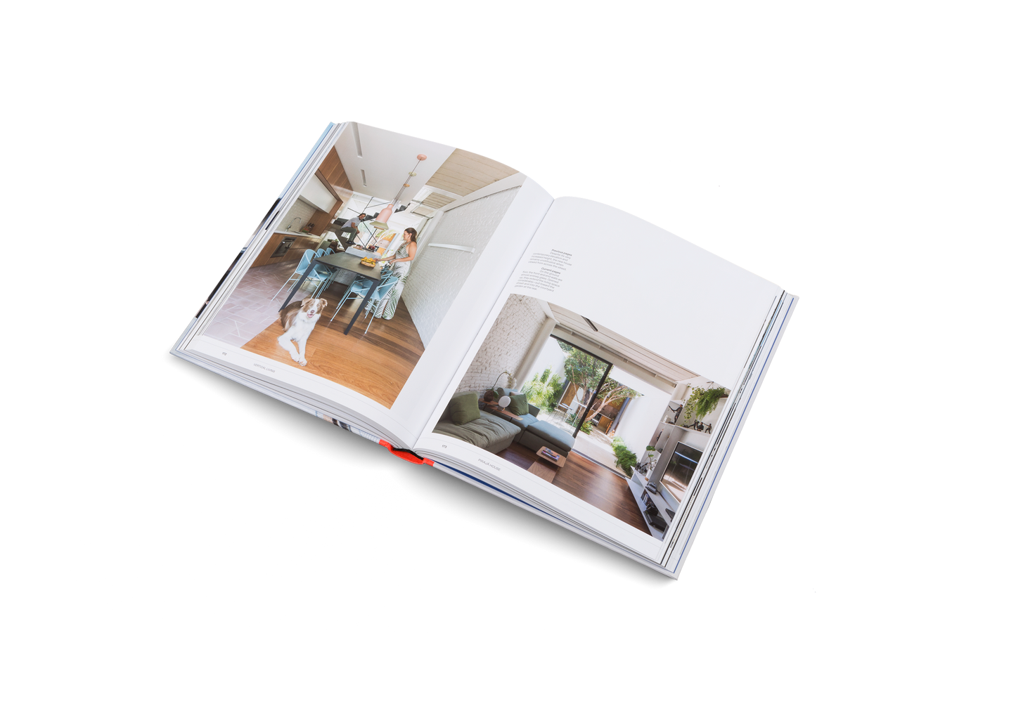 Vertical Living Book