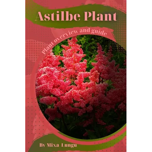Astilbe Plant: Plant overview and guide