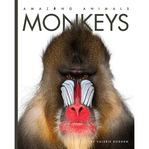 Monkeys