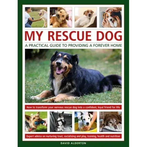 My Rescue Dog