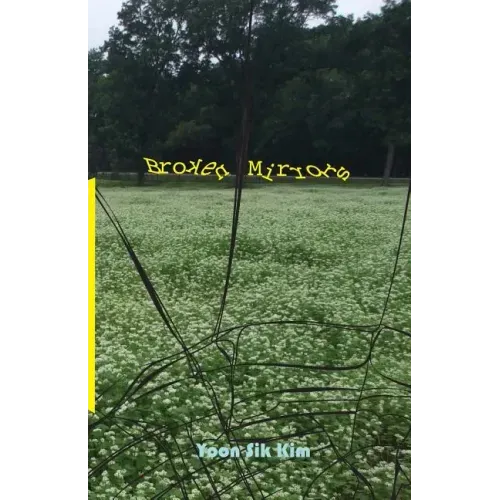 Broken Mirrors