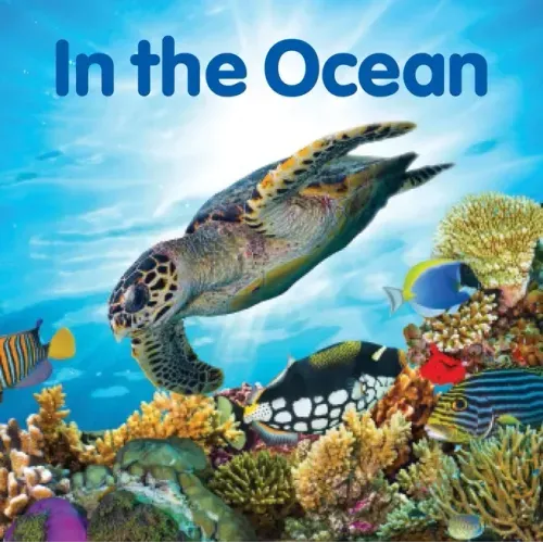 In the Ocean