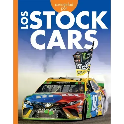 Curiosidad Por Los Stock Cars