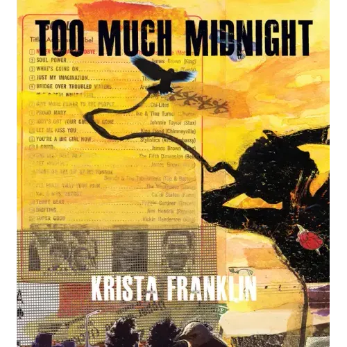 Too Much Midnight
