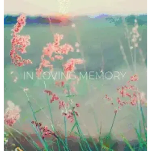Condolence book for funeral (Hardcover): Memory book, comments book, condolence book for funeral, remembrance, celebration of life, in loving memory f