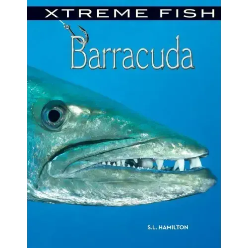 Barracuda