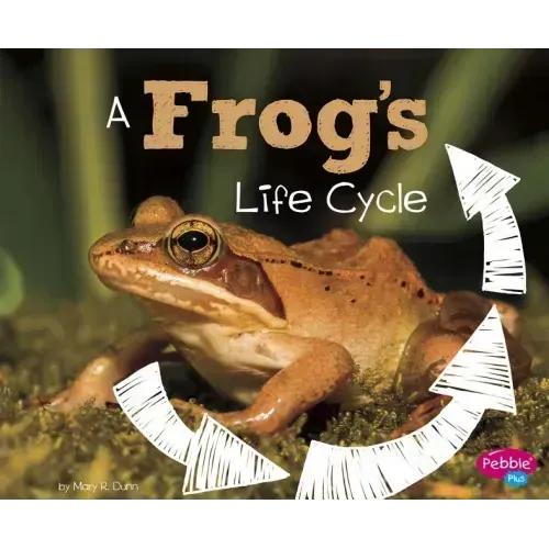A Frog's Life Cycle