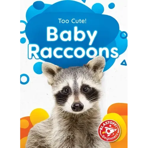 Baby Raccoons