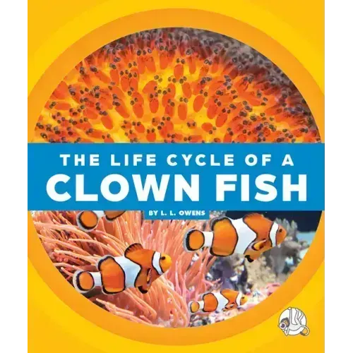 The Life Cycle of a Clown Fish