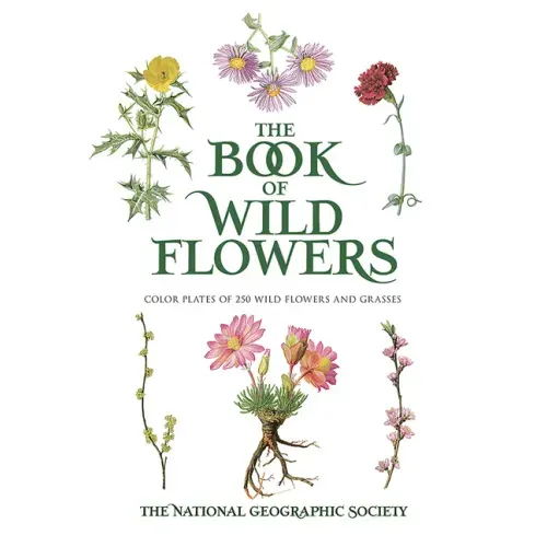 The Book of Wild Flowers: Color Plates of 250 Wild Flowers and Grasses
