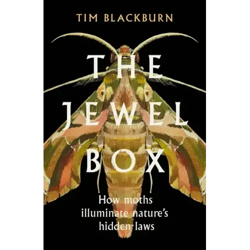The Jewel Box: How Moths Illuminate Nature's Hidden Rules