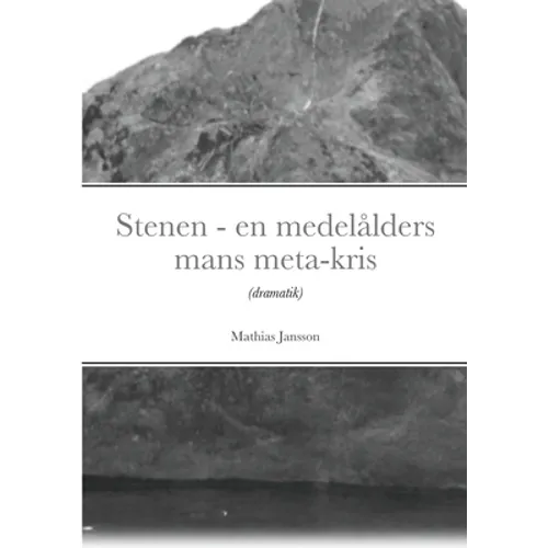 Stenen - en medelålders mans meta-kris