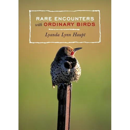 Rare Encounters with Ordinary Birds