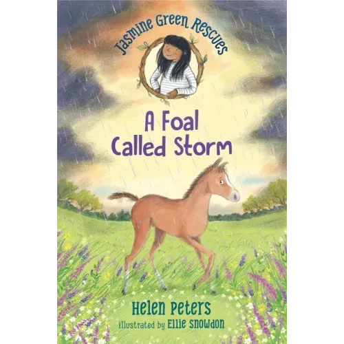 Jasmine Green Rescues: A Foal Called Storm