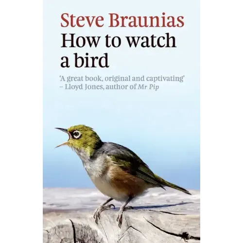 How to Watch a Bird