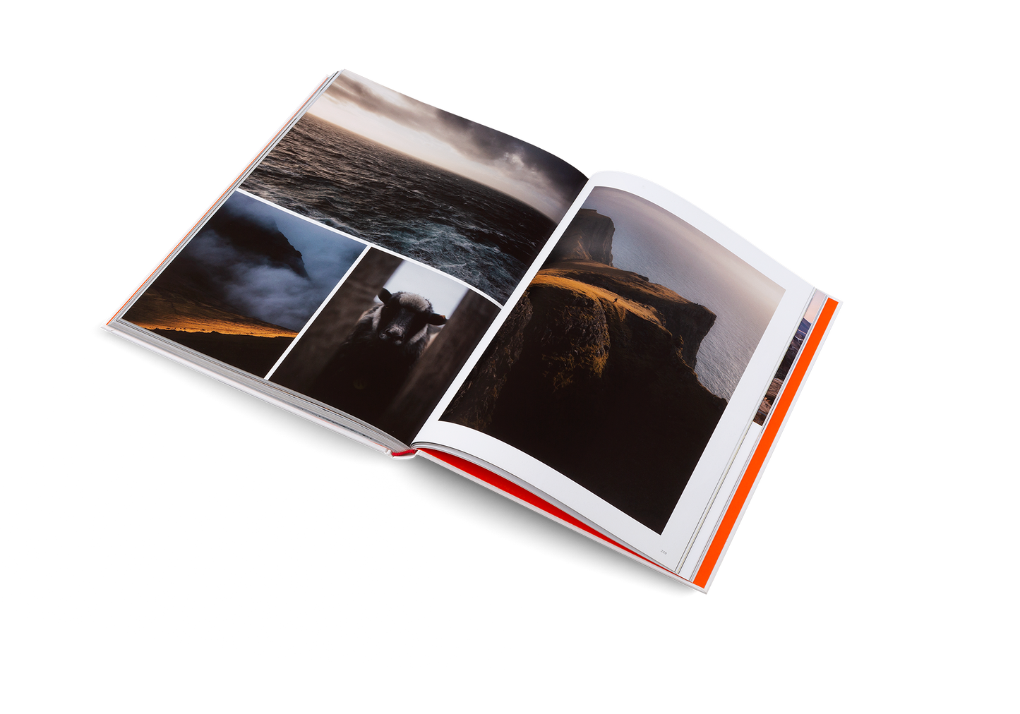 Voyages Book