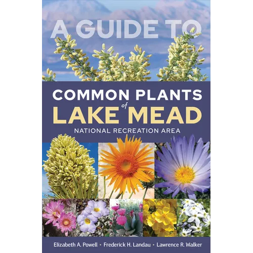 A Guide to Common Plants of Lake Mead National Recreation Area