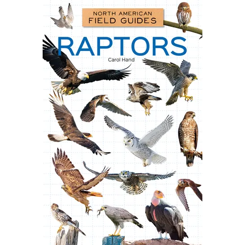 Raptors
