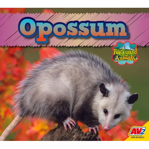 Opossum