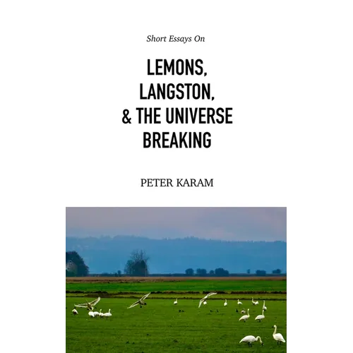 Short Essays on Lemons, Langston, & the Universe Breaking