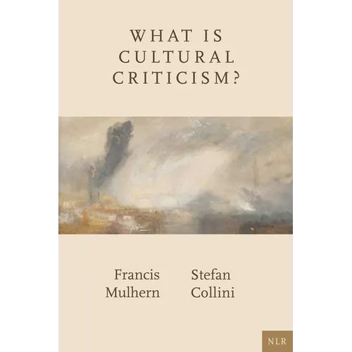 What Is Cultural Criticism?