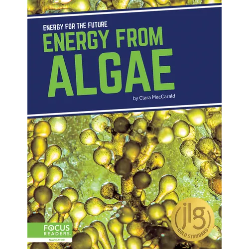 Energy from Algae