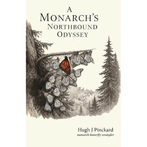 A Monarch's Norhtbound Odyssey