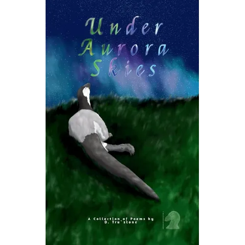 Under Aurora Skies