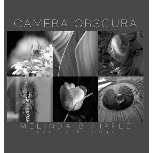 Camera Obscura