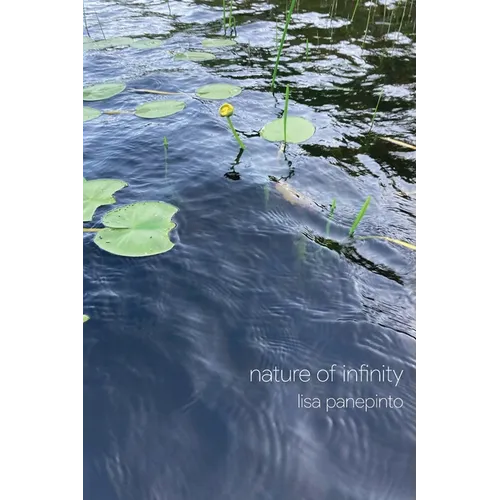 nature of infinity